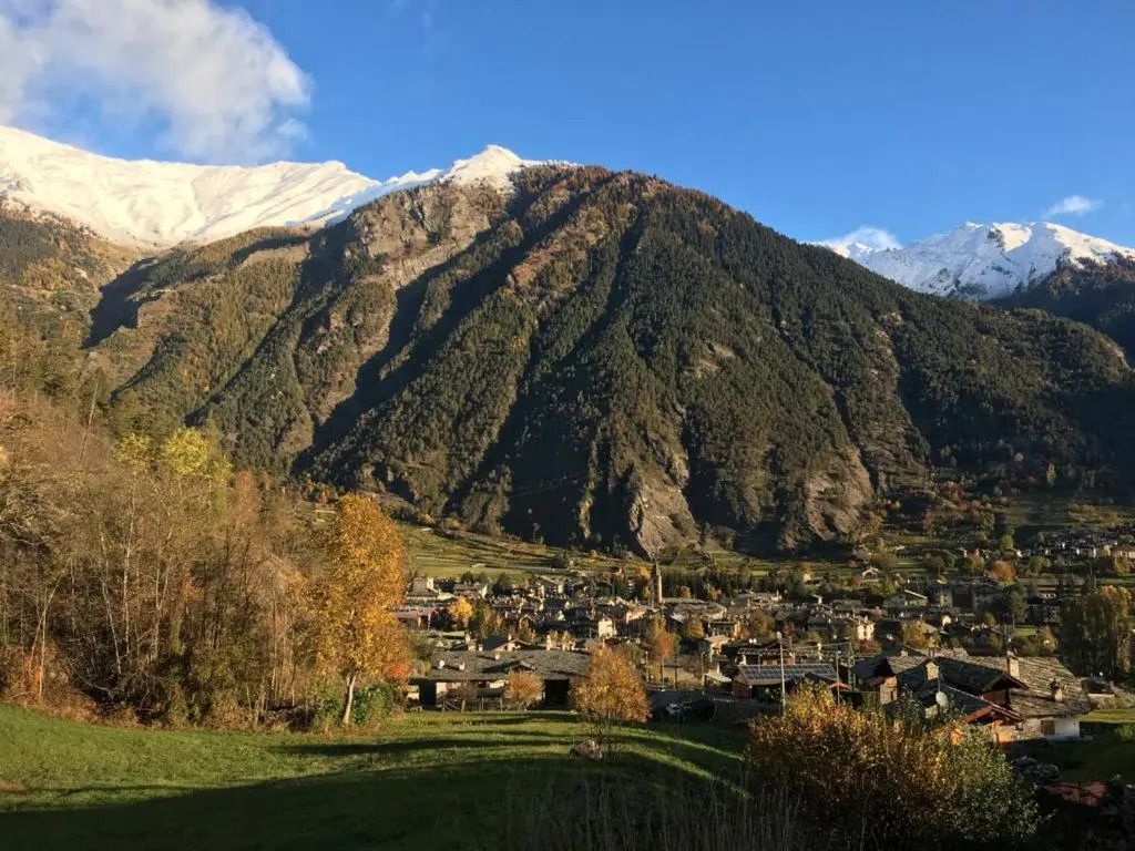 La Cincia