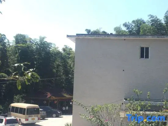 Southern Sichuan Bamboo Sea Forest Resort Homestay