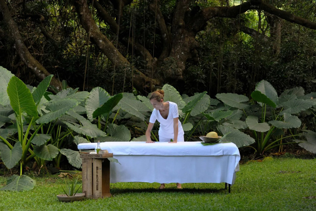 Belle Mont Sanctuary Resort - Kittitian Hill
