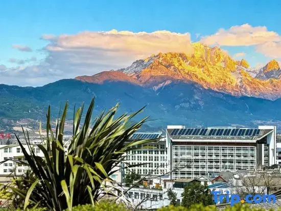 Lumist·One Page Winter|Panoramic view of the snow-capped mountains·Sky Garden Meisu