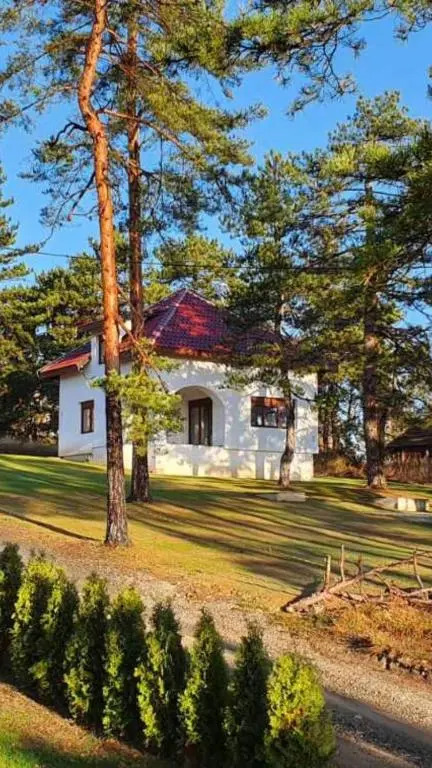 Vila DORA