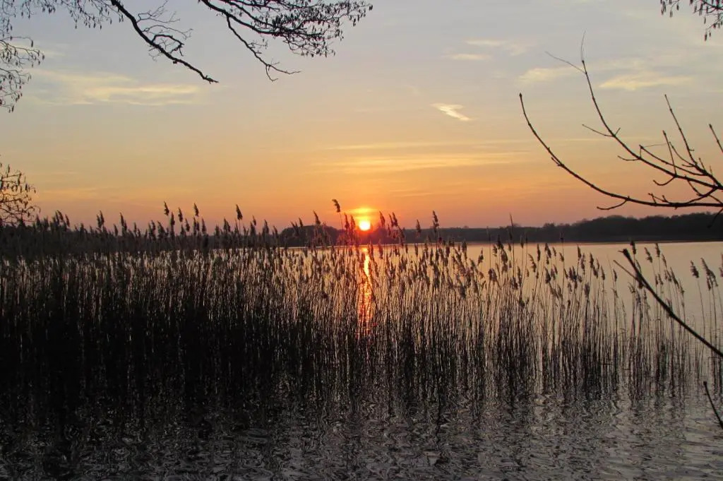 FeWo mit Boot, Zimmermann