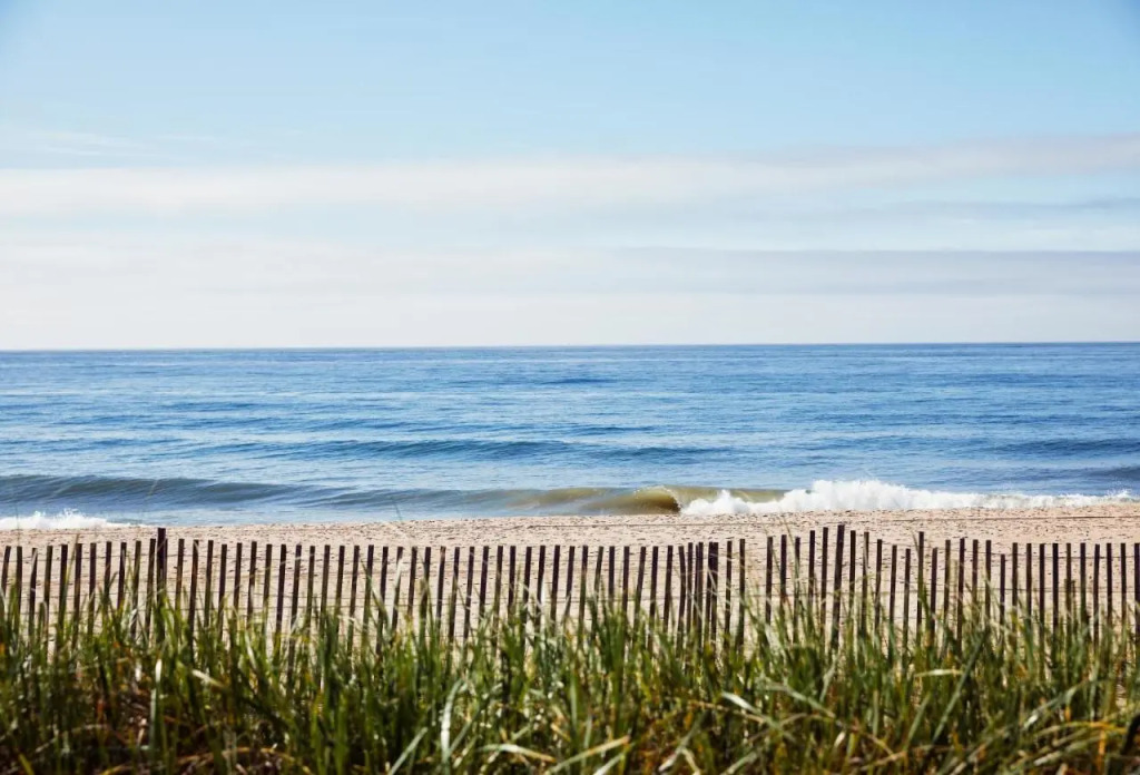 Marram