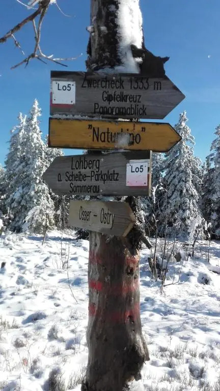 Das Wohlfühlapartment