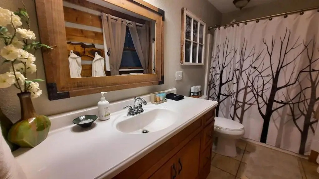 The Mountain Forager Cabin, Whitewater Rafting, Polar Express, Hot Tub, Home Gym