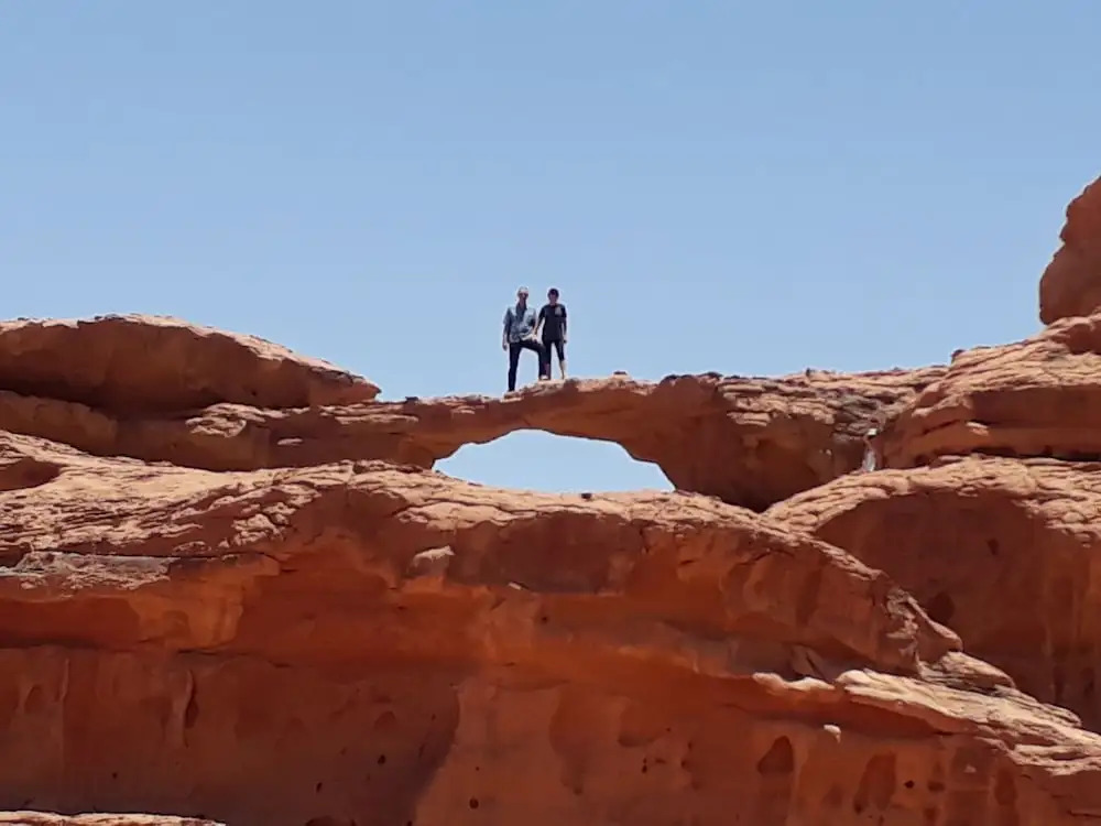 Wild Wadi Rum