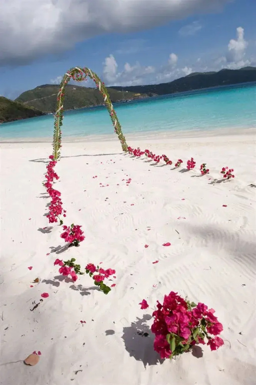 Guana Island