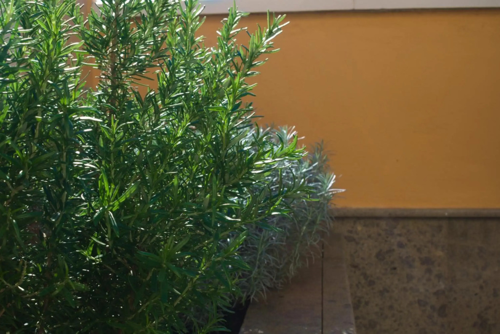 Lujoso y moderno dúplex con fantástica terraza