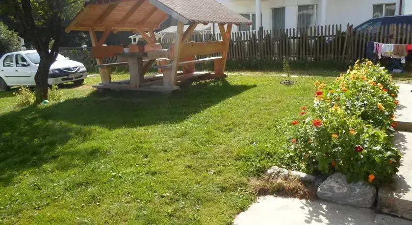 Pensiunea Puiu