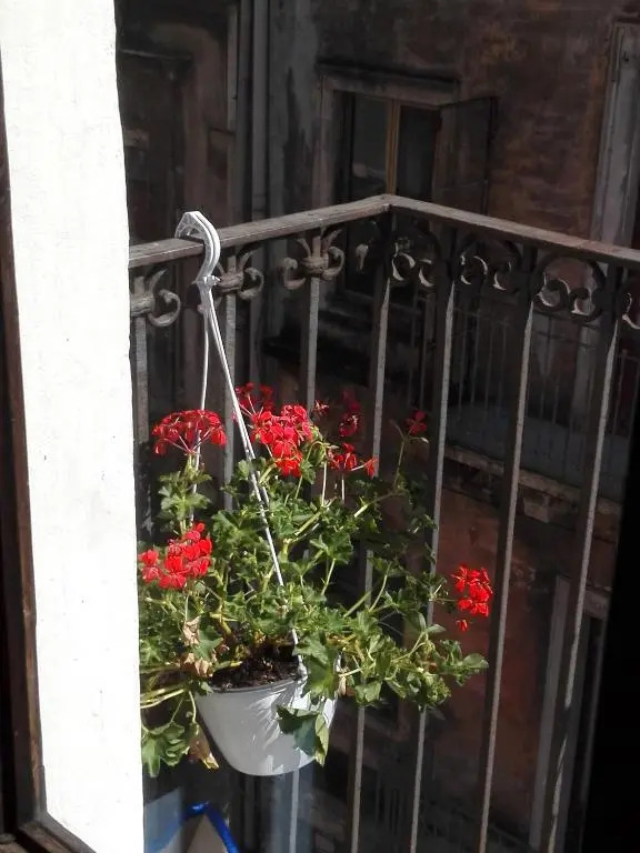 Monovano Centro Storico