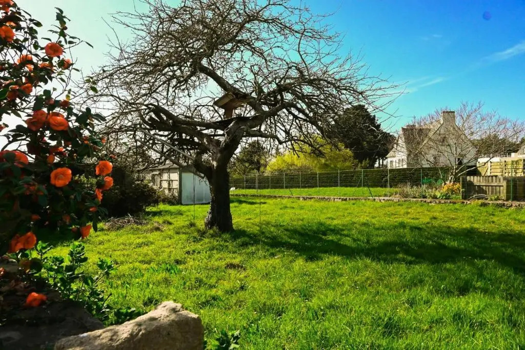Résidence Ar Veades-trebeurden - Maisons & Villas pour 4 Personnes 684