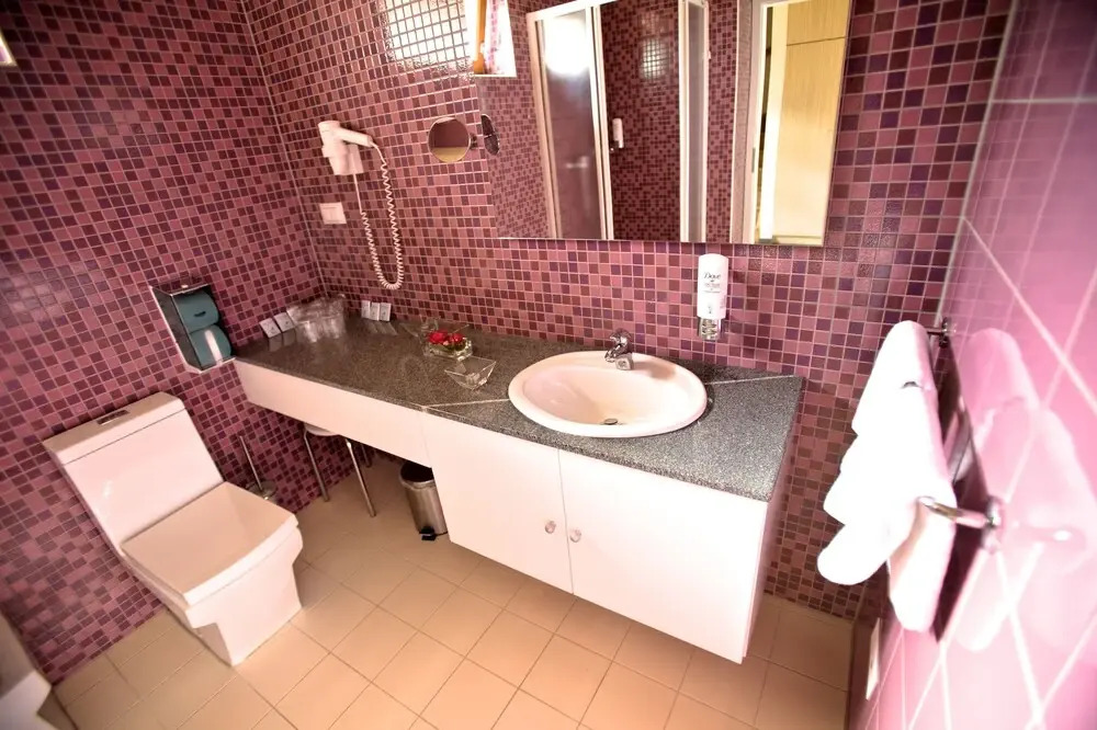 Terme Topolsica - Hotel Vesna