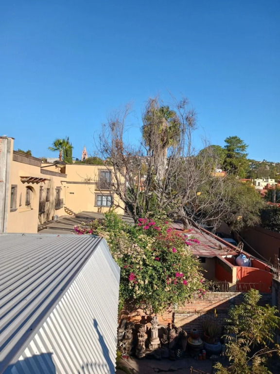 Posada Rosa Hotel SMA