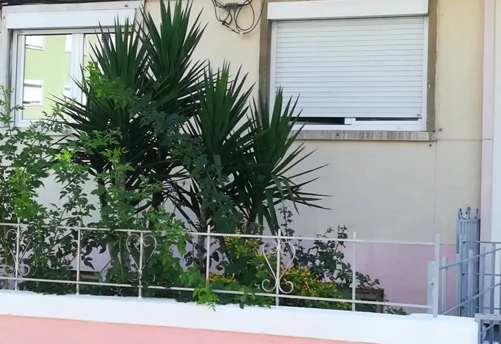 Apartment With 2 Bedrooms in Almada, With Enclosed Garden and Wifi - 8