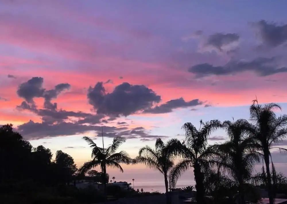 La Jolla Luxury New 1 Br+loft Apt Near Beach!