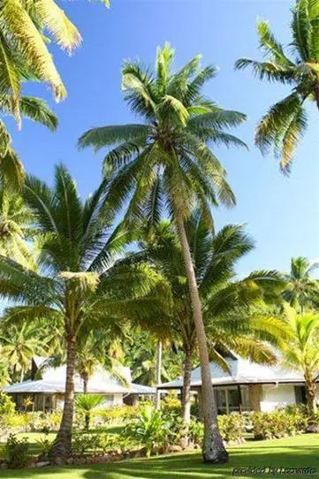 Naigani Island Resort