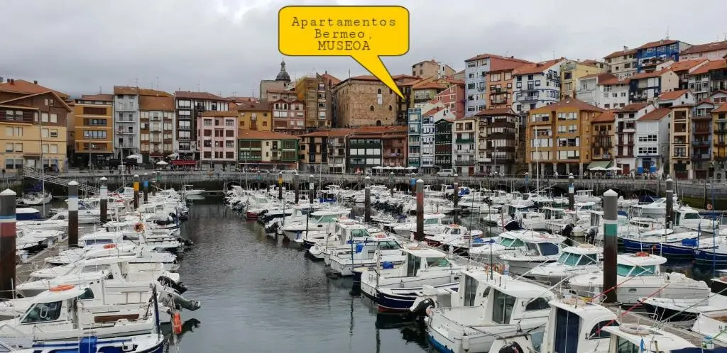 Apartamentos Bermeo, Museoa