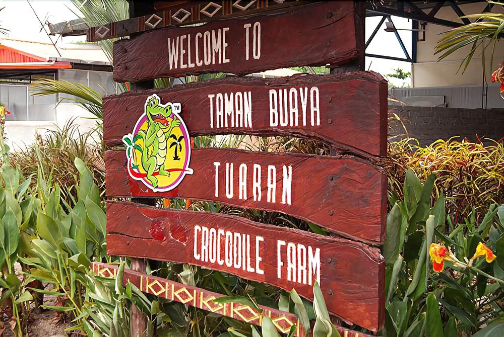 DHartamas Guesthouse