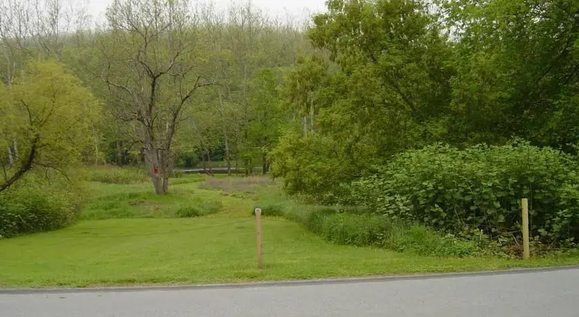 River Road Callicoon Rental House