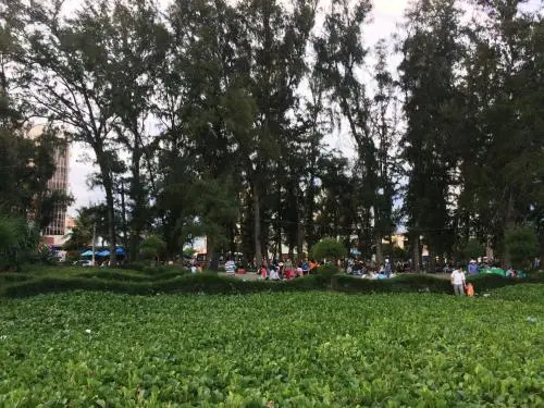 Hanh Huong Hostel
