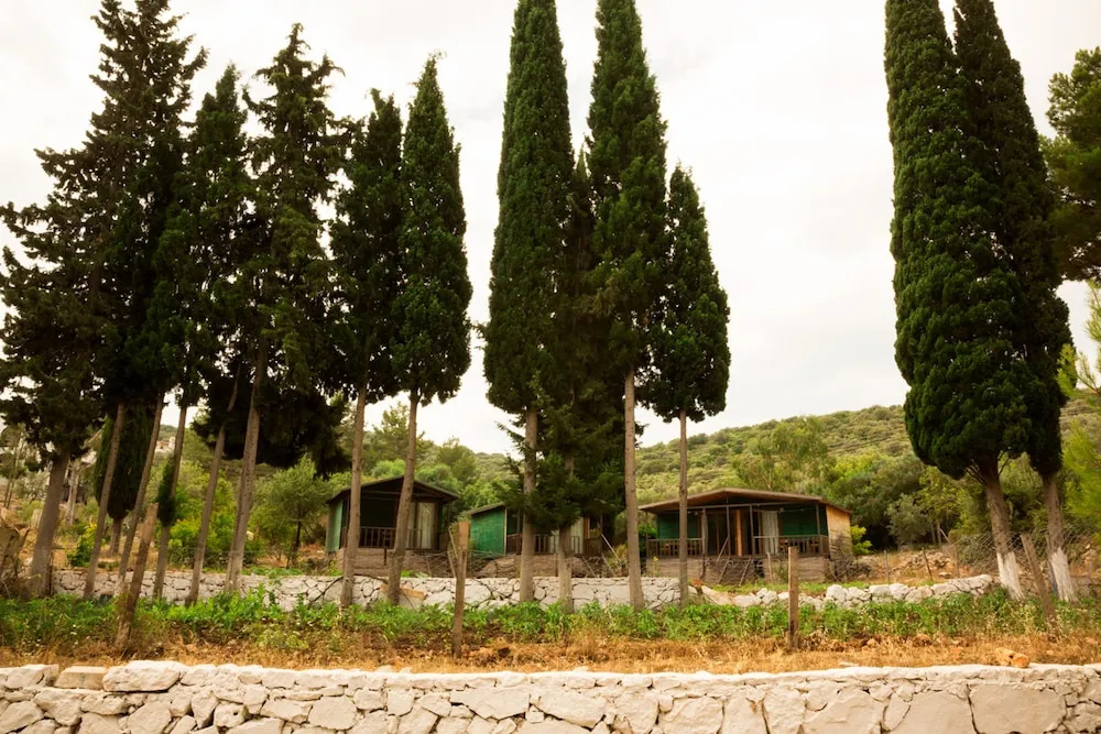 Delos Beach Hotel