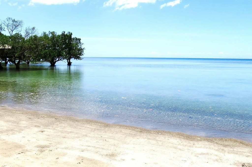 Caimito Beach Hotel