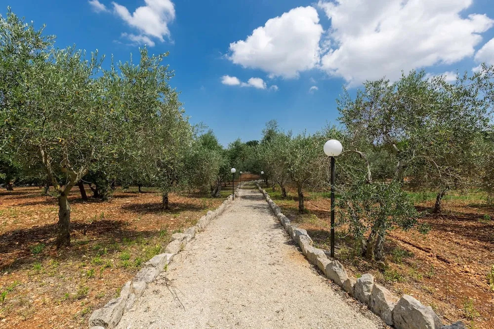 Tenuta Cicconi