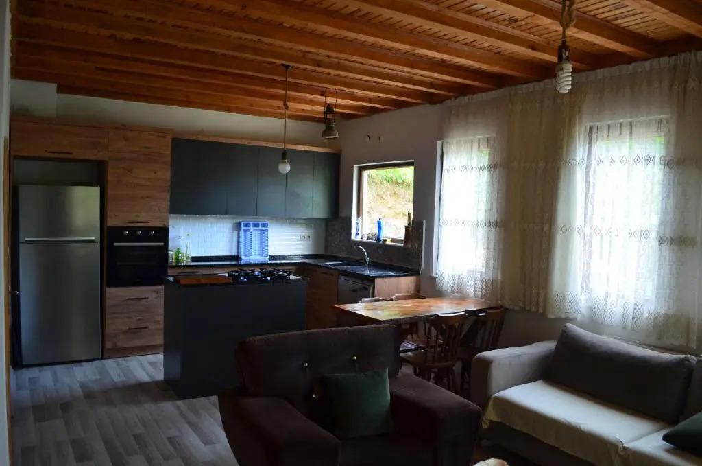 Trabzon green valley villa