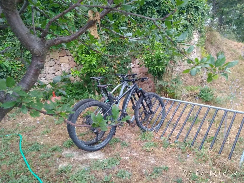 Segni e Impronta