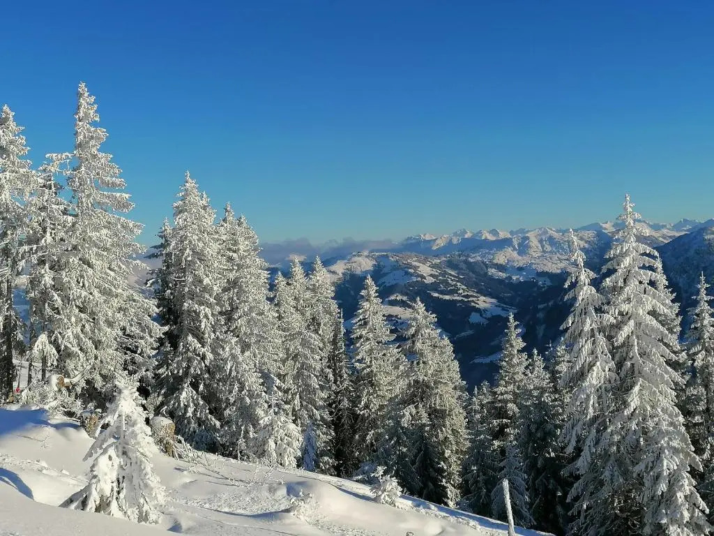 Farnreit