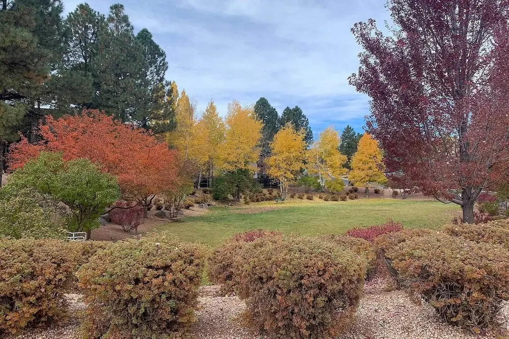 Pet-friendly Flagstaff Escape w/ Fenced-in Yard!