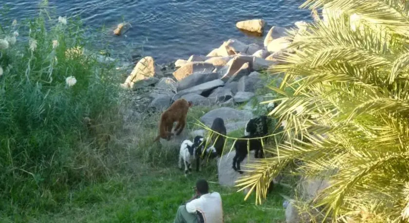 جبل تقوق فيلا عبدالله محروس