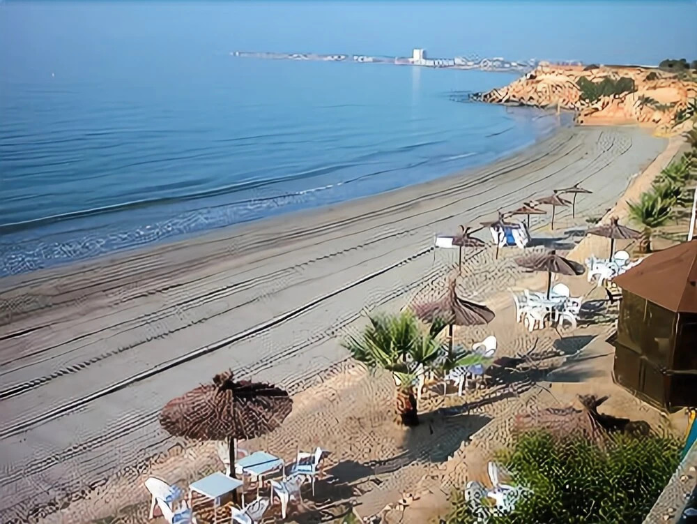 La Zenia T.Experience