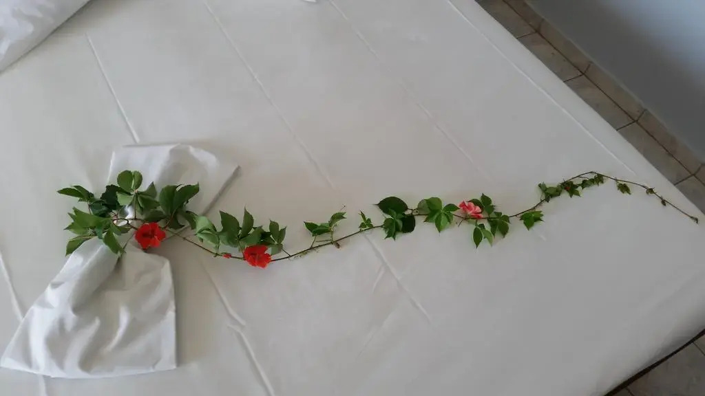 Astir Palace Hotel