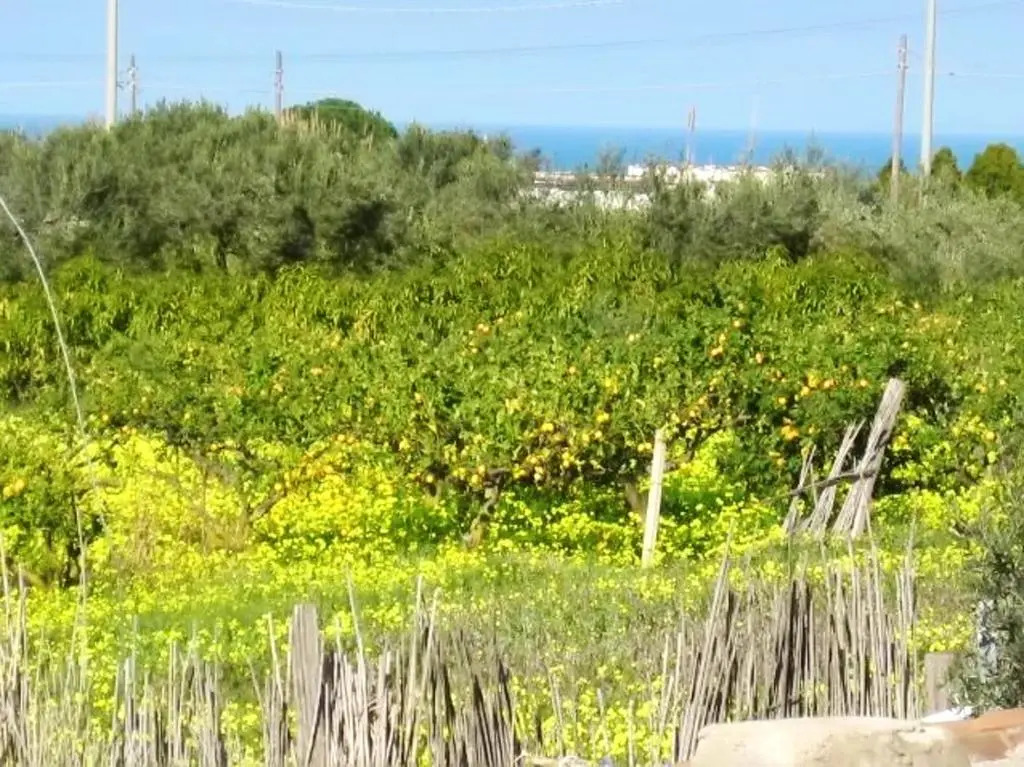 House With 2 Bedrooms in Balestrate, With Wonderful Mountain View, Fur
