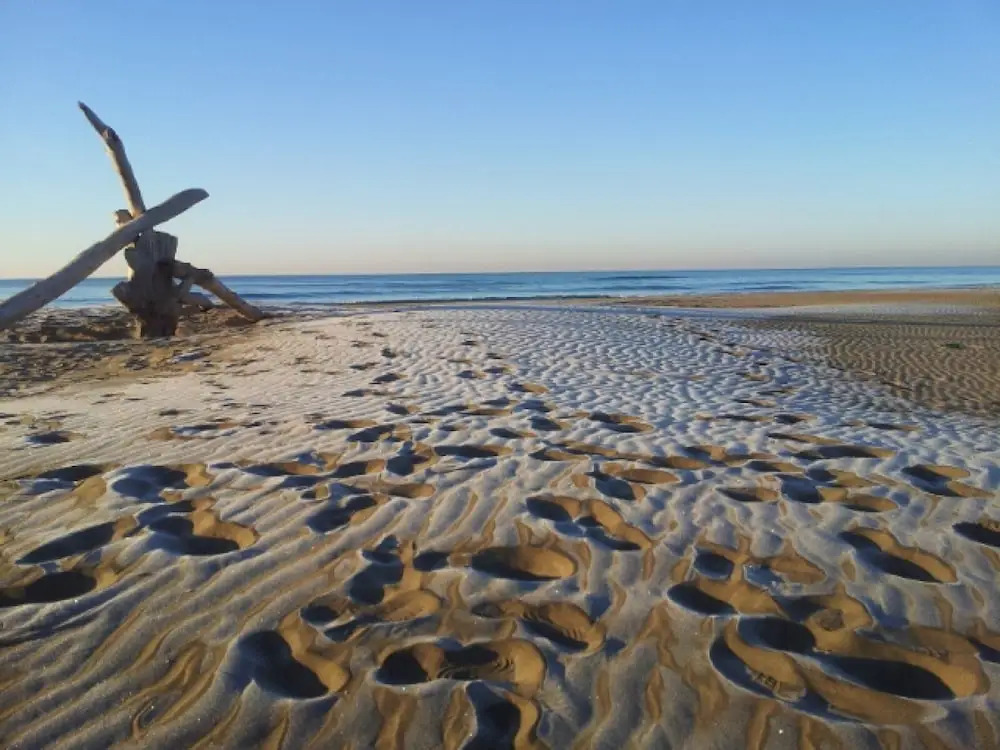 Camping Abri de Camargue
