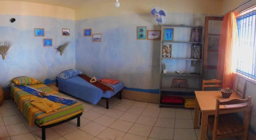 Tortuga B&B