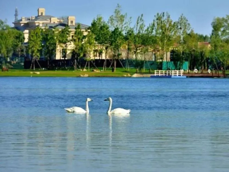 GreenTree Inn Langfang GuAn County Xinyuan Street Express Hotel