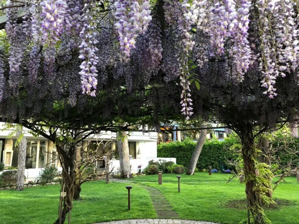 Hotel Bracciotti