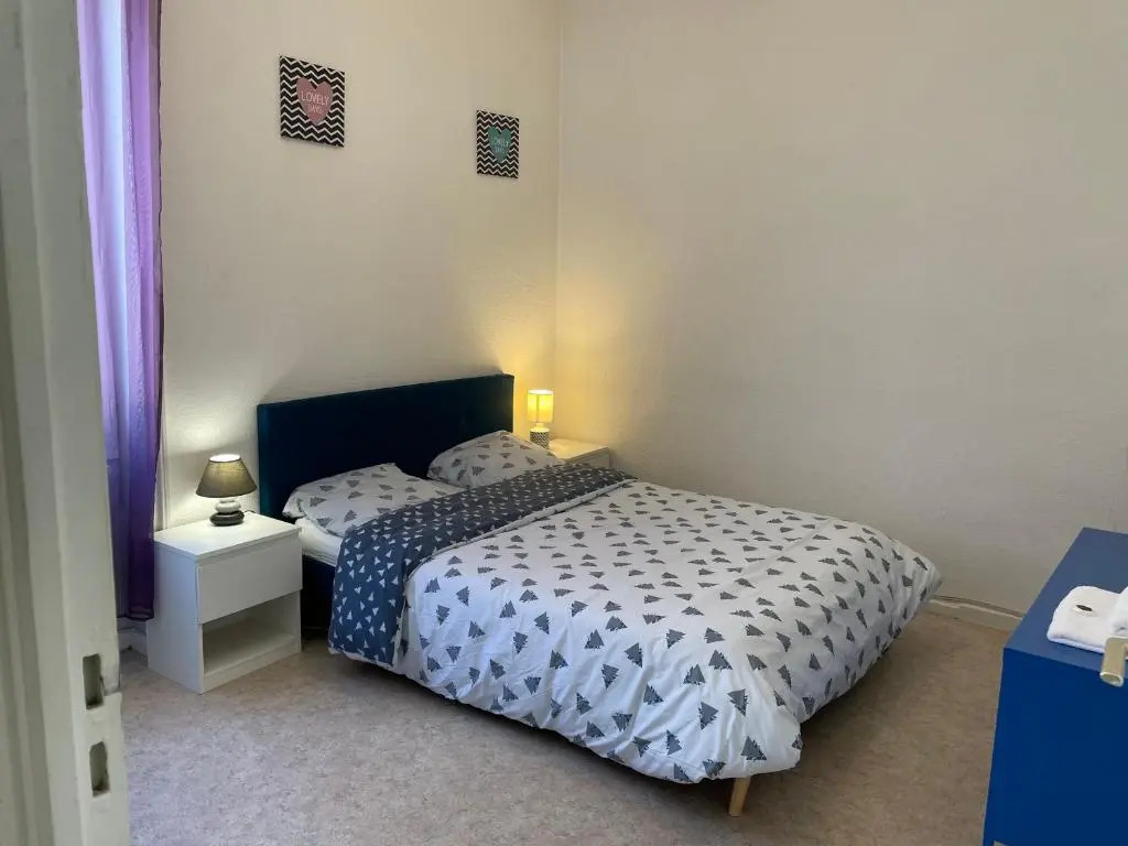 APPARTEMENT AU CENTRE VILLE de ROANNE 50 m²