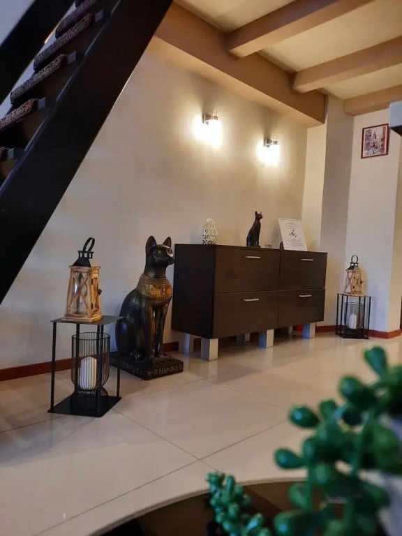 Luxury Senate Apartment