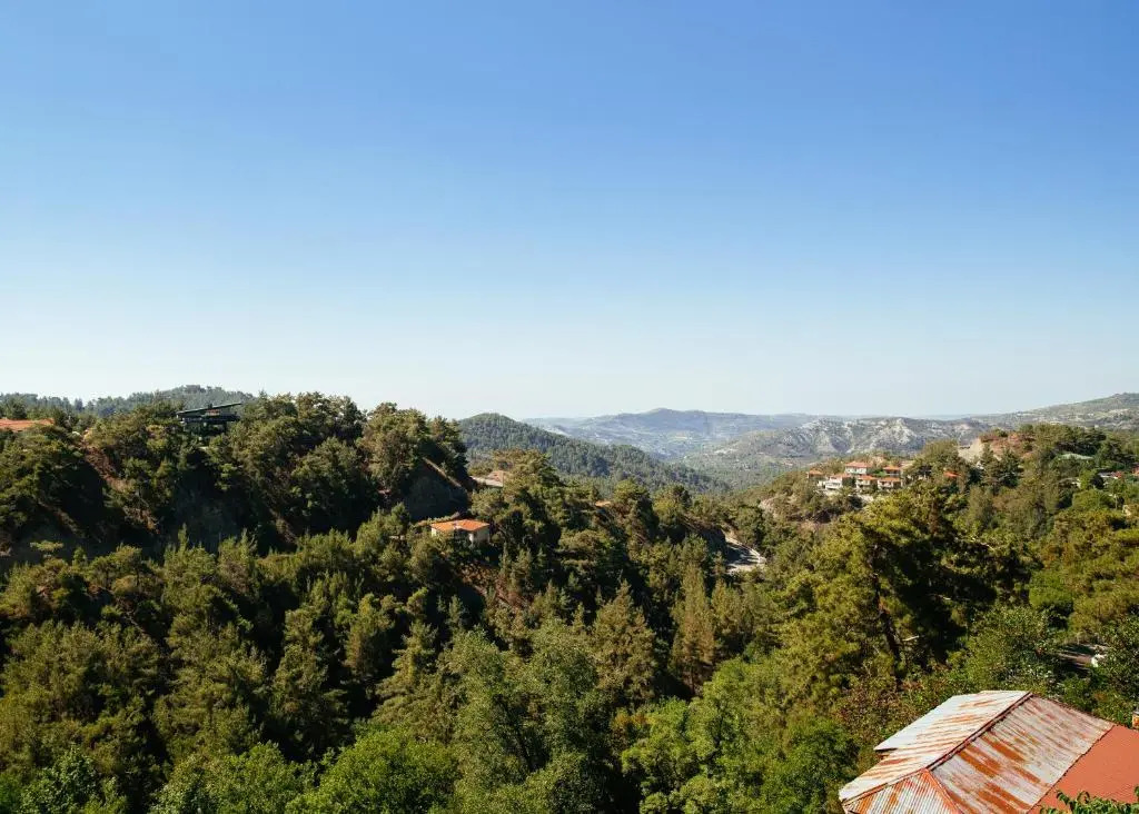 Petit Palais Platres Boutique Hotel