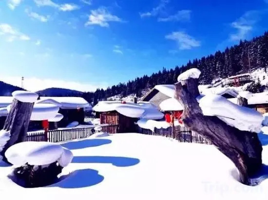Wuchang Snow Valley Jiaxin Inn