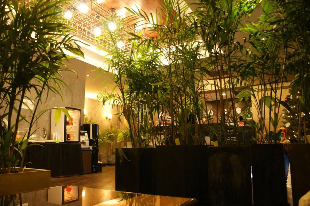 VIV Classic Hotel