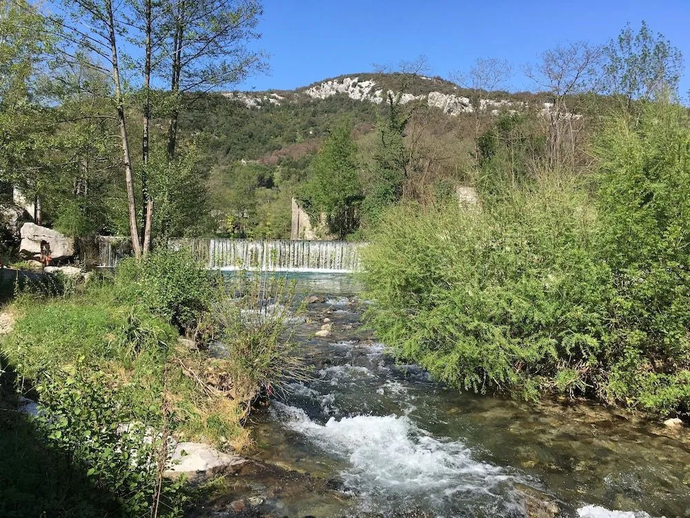 Les Asphodèles Amélie