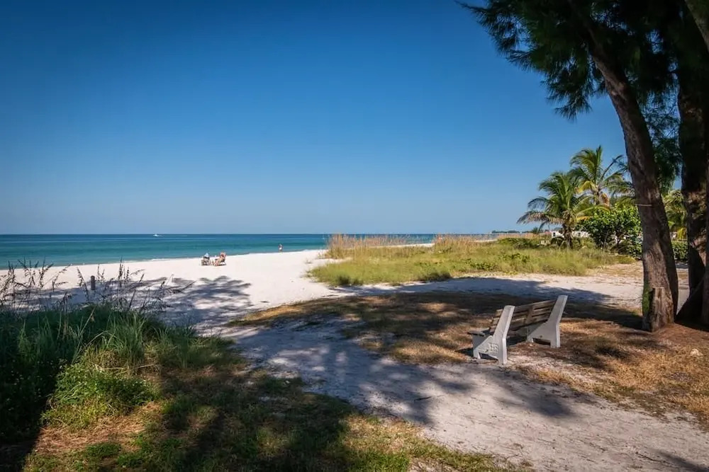 Palm Cay 5