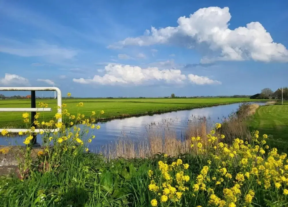Sunny Apartment Directly on the Heegermeer