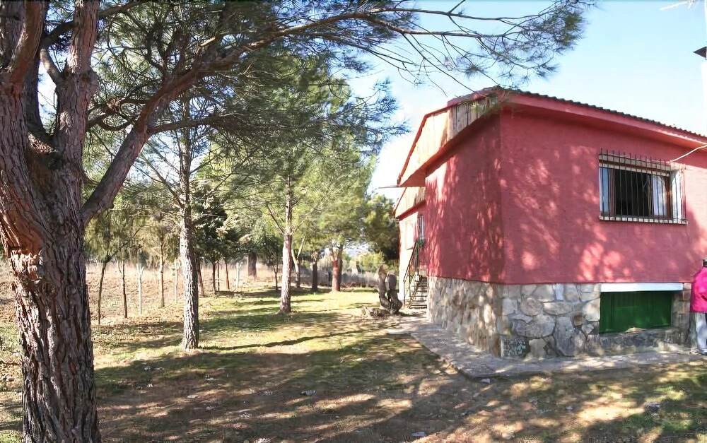 Finca Los Llanos