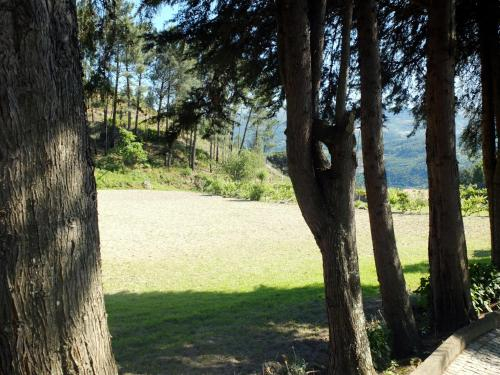 Family Secrets Douro