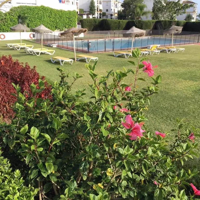Estudio a 10 minutos del Puerto Banus